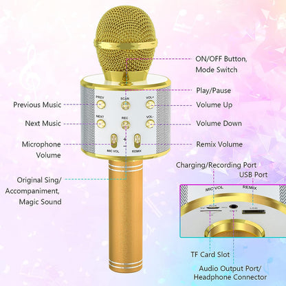 Bluetooth Karaoke Microphone With FM Radio