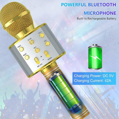 Bluetooth Karaoke Microphone With FM Radio