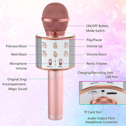 Bluetooth Karaoke Microphone With FM Radio