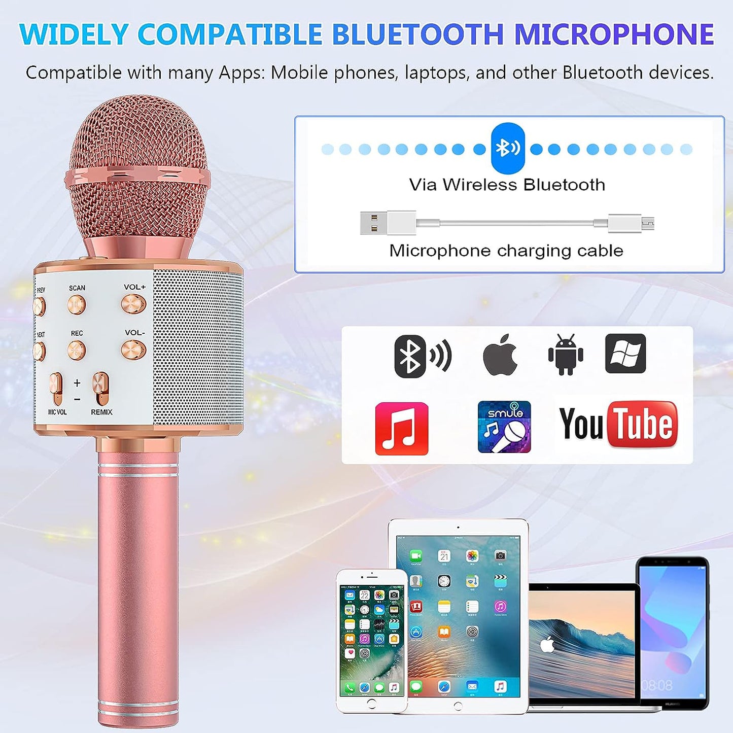 Bluetooth Karaoke Microphone With FM Radio